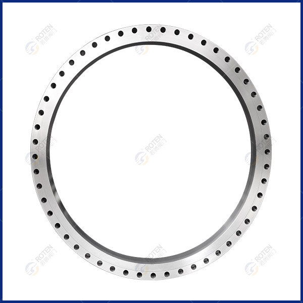 Large diameter flange